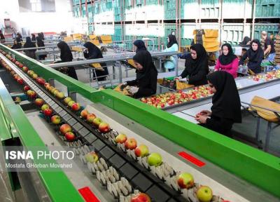 فعالیت 256 سورتینگ غیرمجاز در مازندران