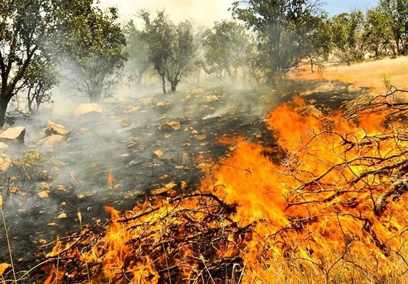 گسترش آتش سوزی جنگل های زاگرس به مناطق آزاد گسترش آتش سوزی جنگل های زاگرس به مناطق آزاد