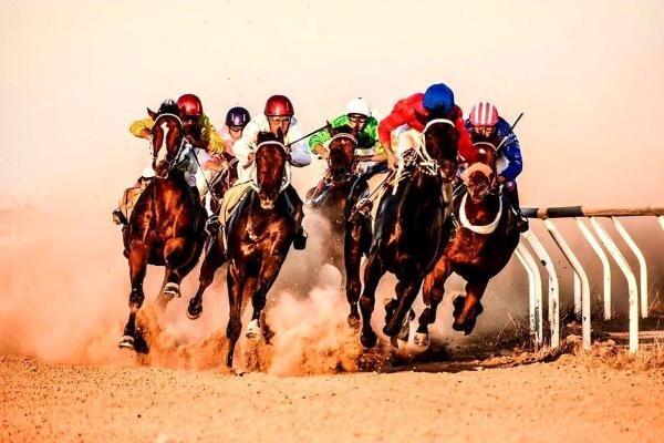 رقابت 67 راس اسب در هفته قهرمانی کورس پاییزه آق قلا رقابت 67 راس اسب در هفته قهرمانی کورس پاییزه آق قلا