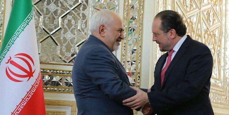 وزیر خارجه اتریش با ظریف ملاقات کرد، عکس