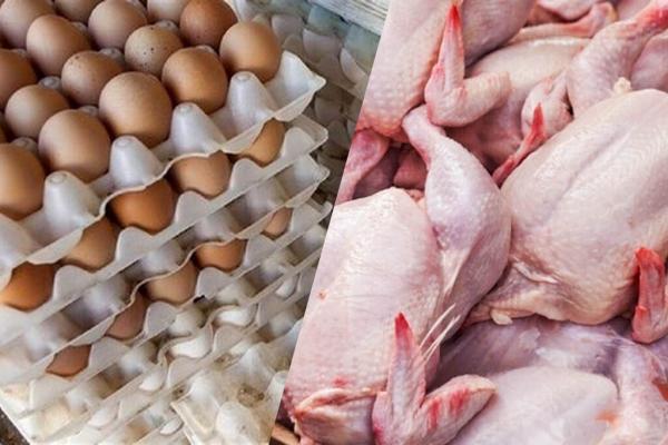 مرغداران خواهان اصلاح قیمت مرغ و تخم مرغ ، مرغ و تخم مرغ چقدر گران می گردد؟