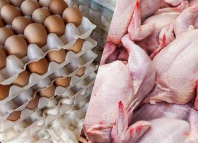 مرغداران خواهان اصلاح قیمت مرغ و تخم مرغ ، مرغ و تخم مرغ چقدر گران می گردد؟