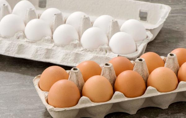 چرا تخم مرغ های رنگی خواص بیشتری دارند؟