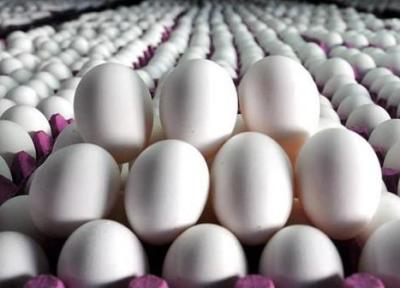 هر شانه تخم مرغ به بالاتر از 100 هزار تومان رسید!