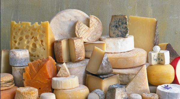 مسئله ای که شما را به خوردن پنیر ترغیب می کند