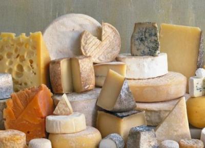 مسئله ای که شما را به خوردن پنیر ترغیب می کند