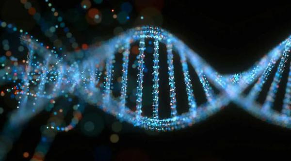 DNA انسان در سراسر سیاره پراکنده شده و این دانشمندان را نگران نموده. اما چرا؟
