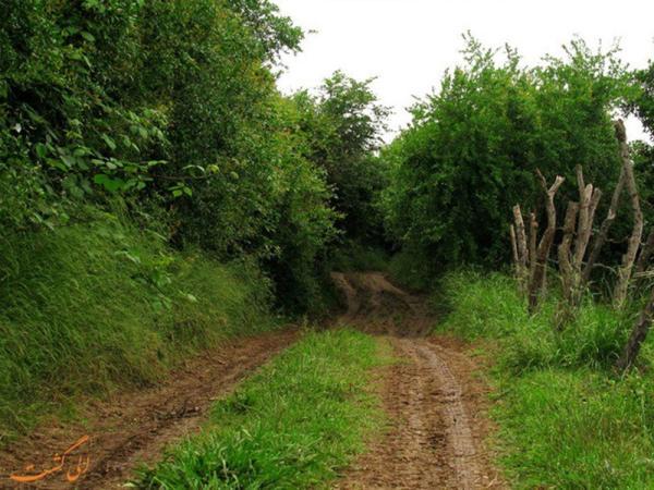 روستای کوتنا، داستانی از سرسبزی و سنت های مازندرانی