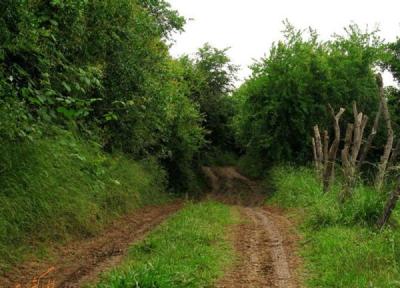 روستای کوتنا، داستانی از سرسبزی و سنت های مازندرانی